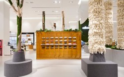 Allbirds, Nordstrom NYC Center Stage